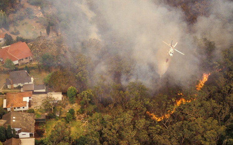 How a Tilcor roof can protect your home in wildfire season